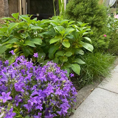Margareta Garden Boutique 2* Erlau