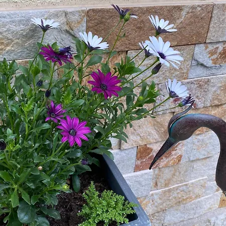 Hotel Margareta Garden Boutique