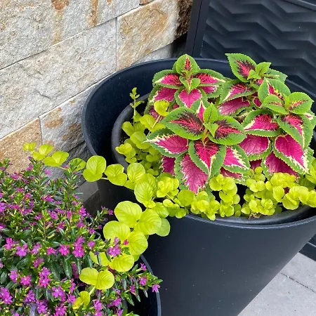 Hotel Margareta Garden Boutique Erlau