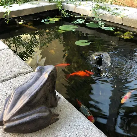 Margareta Garden Boutique Hotel